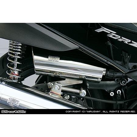 WirusWin フォルツァ(MF10)用 キャリパータイプ エアクリーナーKit /ウイルズウィンの画像