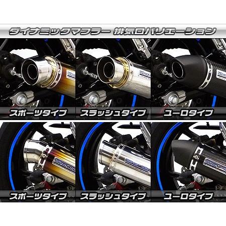 WirusWin ニンジャ Ninja400R・ER-4n(ER400B) ダイナミックマフラー