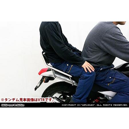 WirusWin SUZUKI GSR250(JBK-GJ55D) バックレスト付きタンデムバー