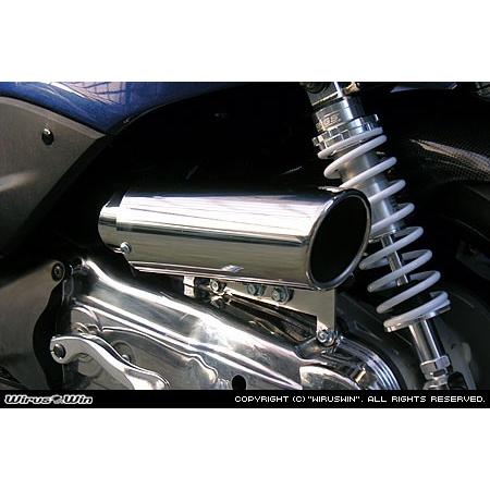 WirusWin シグナスX 1型 (SE12J（5TY）・SE12J（5UA）) キャリパータイプ エアクリーナーKit /ウイルズウィンの画像