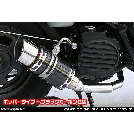 楽天市場】ズーマー マフラー 重低音の通販 WirusWin ズーマー