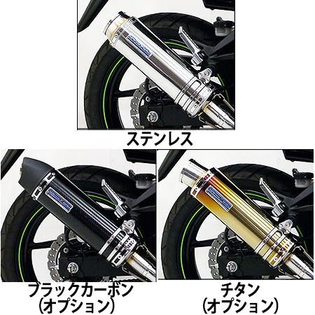 WirusWin ニンジャ Ninja250R(EX250K) スリップオンマフラー ユーロ