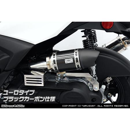 希*送様 トリシティ エアクリーナー カーボンファイバー ステンレス WirusWin トリシティ155(8BK-SG81J)用 サイレンサー型エアクリーナー