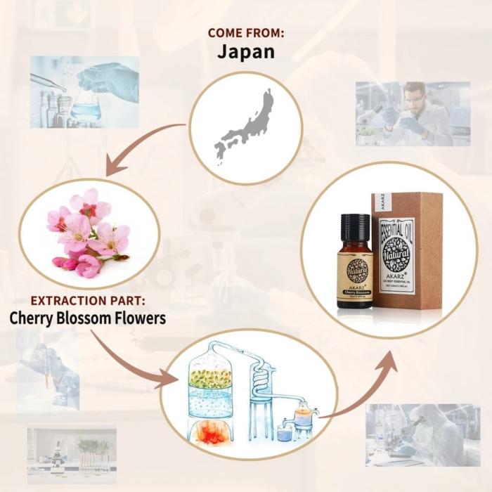 チェリーブロッサム サクラ 桜 精油10mL - エッセンシャルオイル