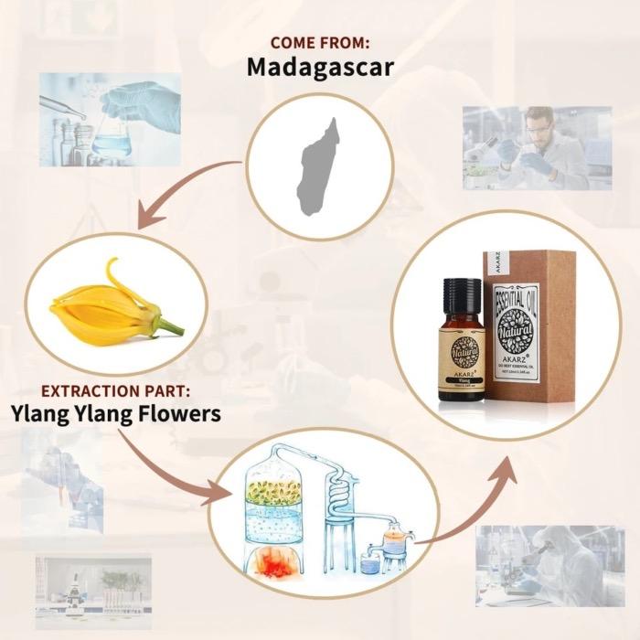 イランイラン 精油10mL - エッセンシャルオイル アロマオイル LINE