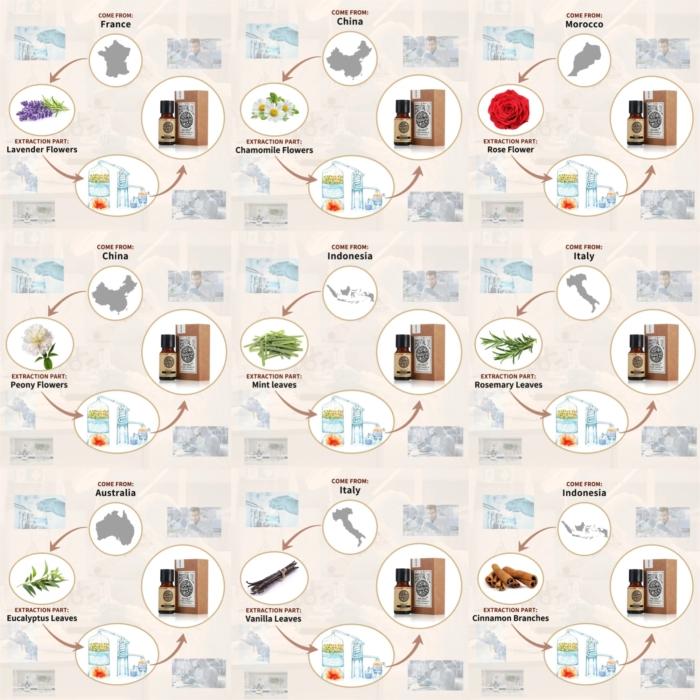 選べる精油 10mL×3本セット 人気定番シリーズ エッセンシャルオイル