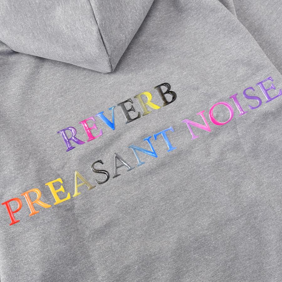 ビッグシルエットパーカー メンズ プルオーバーパーカー ロゴ ストリート ビター サーフ オラオラ系 お兄系 春秋冬 黒 グレー ブラック M L XL | EVOLUTION | 15