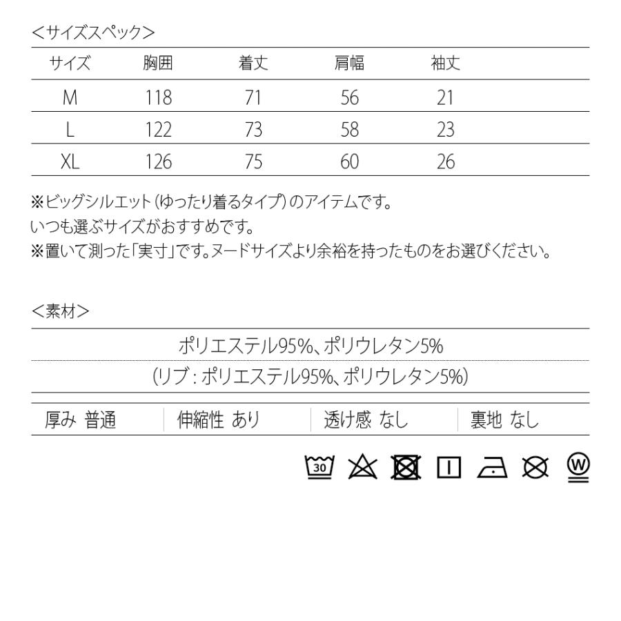 Tシャツ メンズ ビッグシルエット プリント ロゴ 半袖 春夏秋 ポンチ ゴルフウエア ジムウエア ストリート サーフ ビター オラオラ系 黒 グレー ブラック M L XL | EVOLUTION | 12