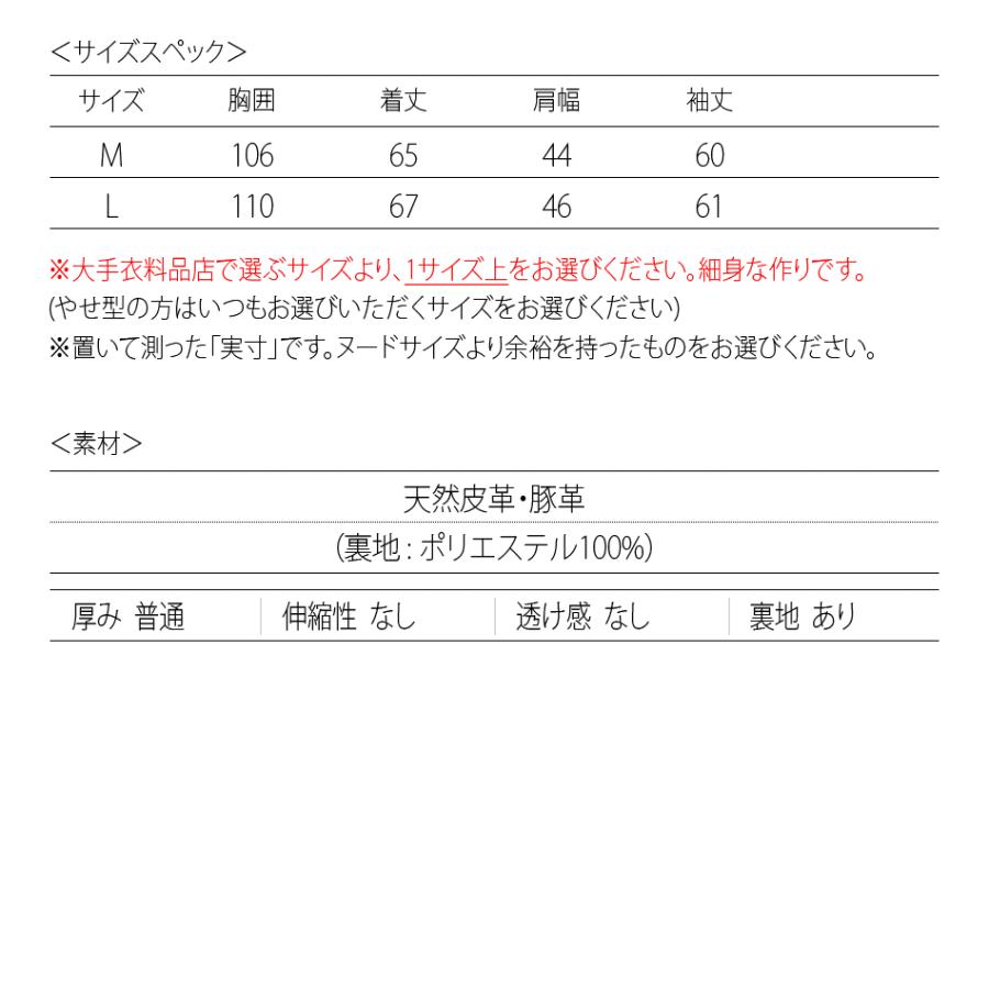 レザージャケット メンズ 本革 ライダース 豚革　ピッグレザー リアルレザー ブラウン M L | EVOLUTION | 12