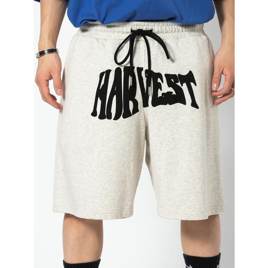 裏毛プリントジムショーツ メンズ ワイドパンツ ビッグシルエット オーバーサイズ ストリート系 韓国ファッション 韓国系 RE730 セブンサーティー | RE730 | 20