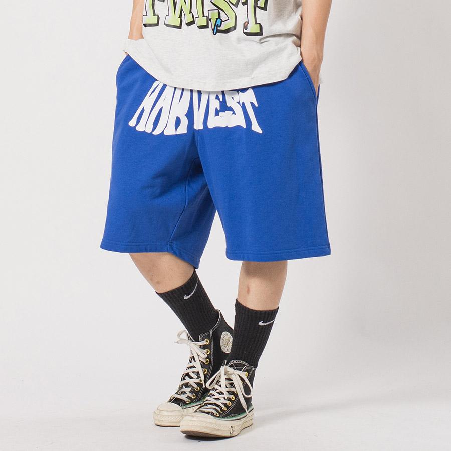 裏毛プリントジムショーツ メンズ ワイドパンツ ビッグシルエット オーバーサイズ ストリート系 韓国ファッション 韓国系 RE730 セブンサーティー | RE730 | 07