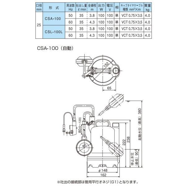 テラダ 水中ポンプ 小型 100V 自動運転 排水ポンプ CSA-100 15mm 25mm