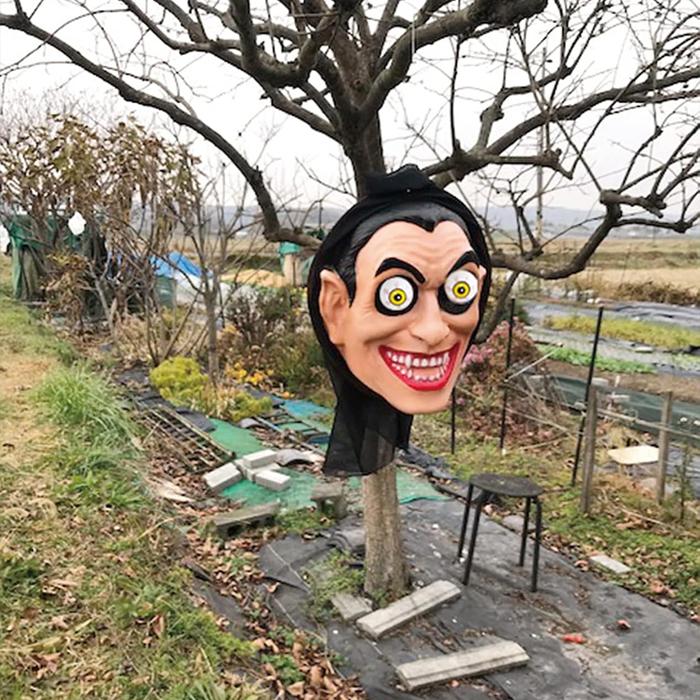 レイジェスのけし畑 CAINZ-DASH】ワタナベ工業 ハイスルーシェード HTS-2030【別送品