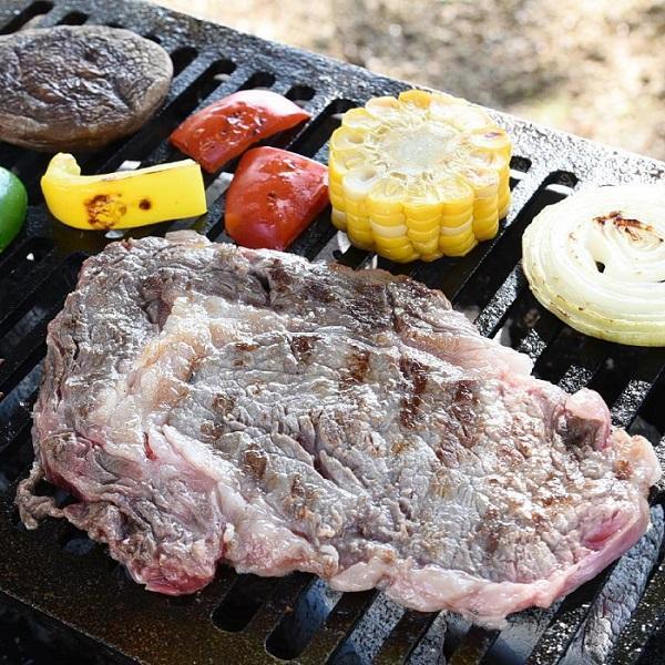 グリルプレート ロストル 鉄鋳物 焼き網 バーベキュー 鉄製 焼肉 BBQ