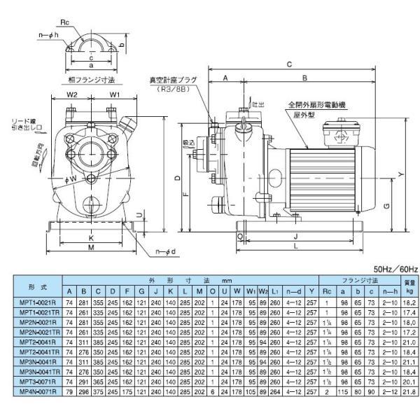 テラダポンプ モーターポンプ セルプラポンプ MP2N-0021TR 200V 0.2kw/0.3kw 32mm 自吸ポンプ 鋳鉄製 陸上ポンプ 小型_4