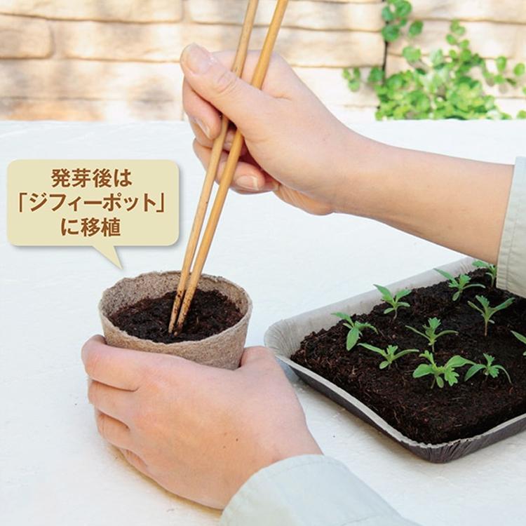 ゴールデンピートバン 草花栽培用 タネまきに新しい培養土13個セット 培養土ピートバン】 サカタのタネ ピートバン（こまかいタネが
