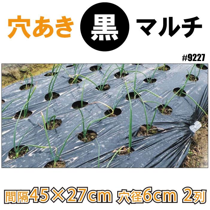 大阪府交野市 農機具小屋整理中 黒マルチ 透明マルチ 穴あき黒マルチ 未開封含む6本セット シンセイ ホールマルチ 黒マルチ 7130 0.02mm X 75cm 50m 穴あきマルチ