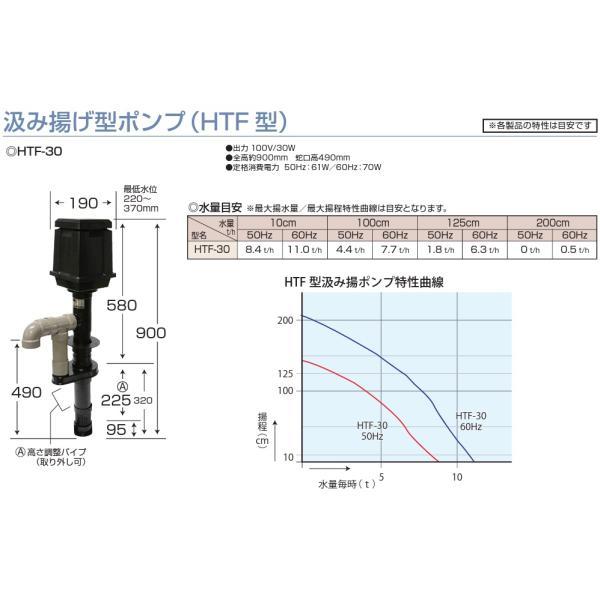 タカラ工業 汲み揚げ型ポンプ HTF-30 30W 100V 池用 池用循環ポンプ 池 