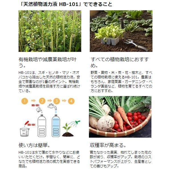 フローラ HB-101 100cc 2本セット 植物 活力剤 天然 活性液 原液 栄養剤 野菜 果物 有機栽培 園芸 ガーデニング 農業 芝生｜ssn-alpresse｜05