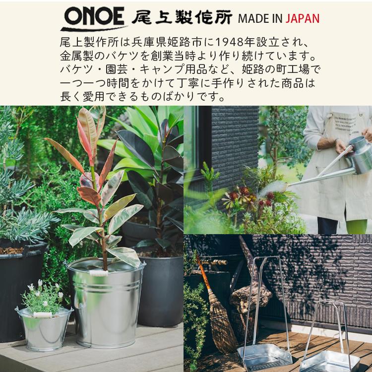 激安】西瓜寿 アトロフスカミュータント 大群生 巨大株 極上品 最高級