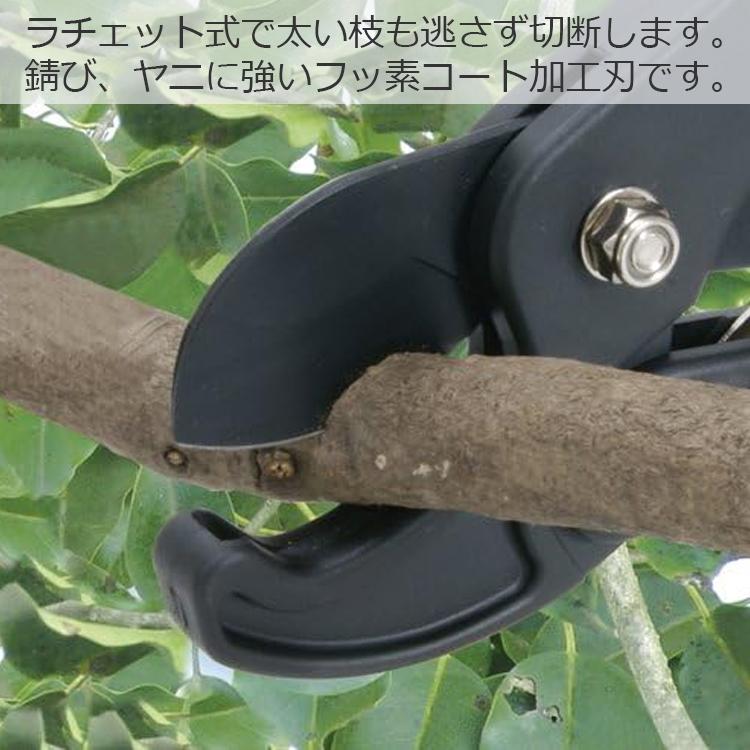 千吉 太枝切り鋏 太枝切鋏 ラチェット式 ふと枝切り鋏 SGFL-5 刈込鋏