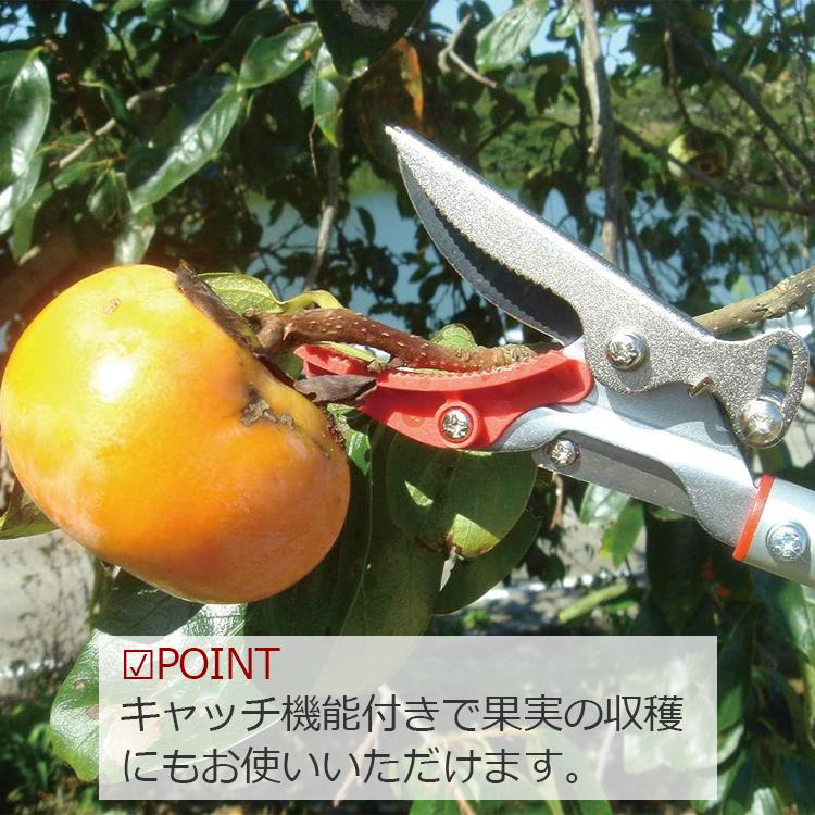 千吉 枝きり鋏 高枝切りバサミ 軽量 1M SGL-11 長柄 剪定ばさみ 千吉 枝きり鋏 高枝切りバサミ 軽量 1M SGL-11 長柄 剪定ばさみ