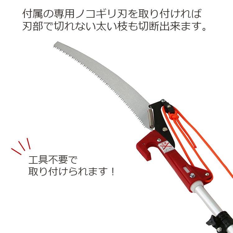 千吉 高枝切りバサミ ロープ式 3m ノコギリ付き 太い枝切り 伸縮 高枝
