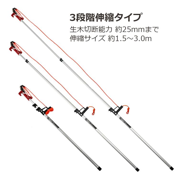 千年木（剪定枝） I want to make the tree smaller] Pruning to freely control the