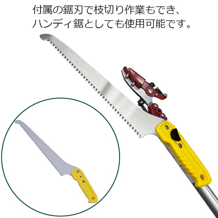 伸縮式高枝鋏　替刃付セット Amazon | DAISHIN 収納に便利な伸縮式高枝切鋏 3.5m /4段式伸縮タイプ