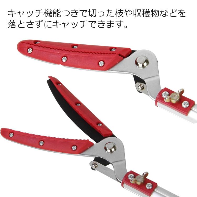 千吉 長刃 高枝切りバサミ 超軽量 2段伸縮タイプ 1.52m 高枝切鋏 高枝
