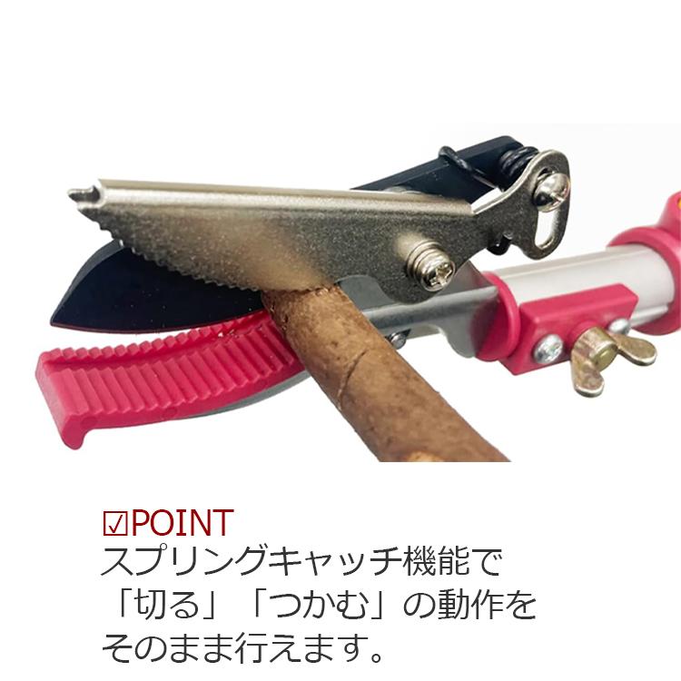 千吉 高枝切りバサミ 3m 軽量 キャッチ機能付 高枝切バサミ 高枝切り鋏