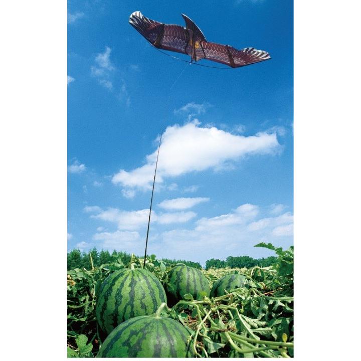 愛農 鳥よけグッズ 鳥追いカイト鷹 鳥よけ対策 スズメ カラス 撃退 防