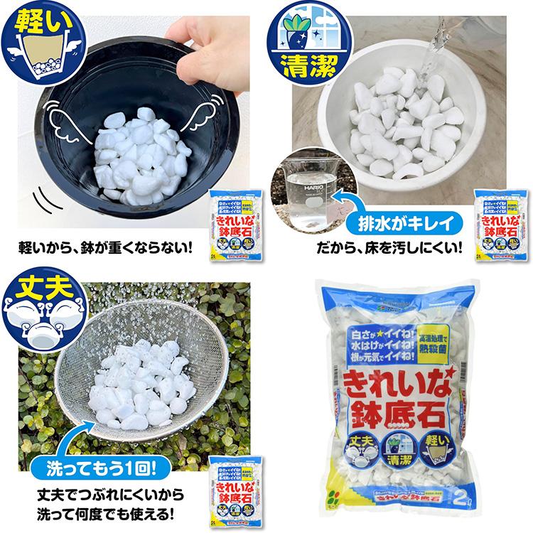 青紫陽花 栽培 青あじさい 鉢 肥料 培養土 鉢底石 殺虫殺菌殺虫 5点