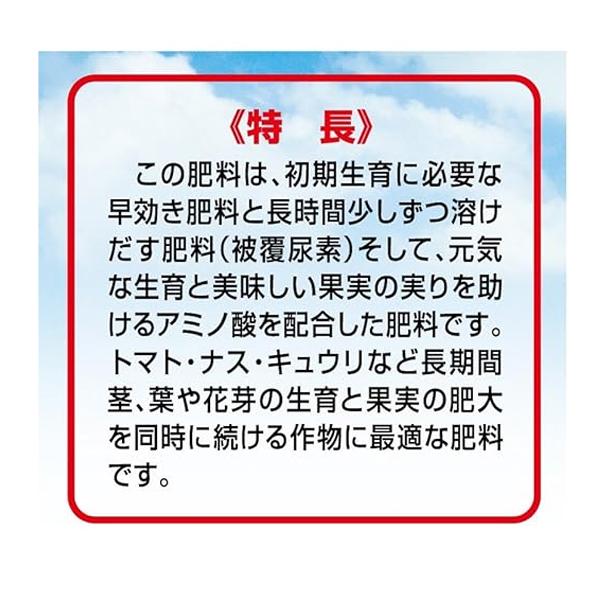 一発肥料 果菜類専用 5kg×6袋 30kg 肥料 トマト なす きゅうり 果菜 野菜 マルチ栽培 肥効約120日 長期効果｜ssnet｜02