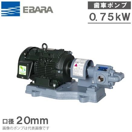 エバラポンプ ギヤポンプ GPF型 20GPF5.75B/20GPF6.75B 200V