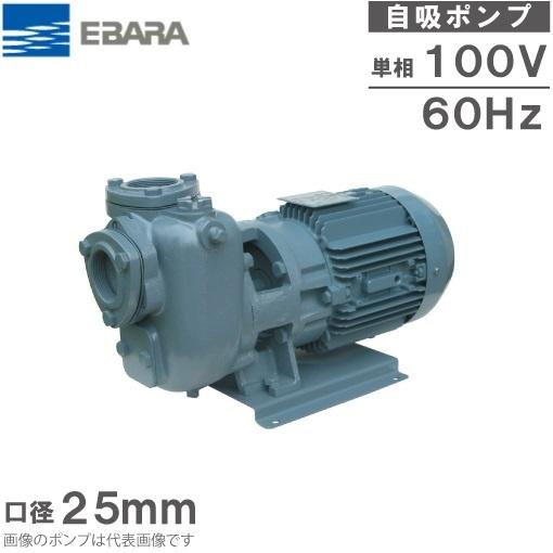 エバラポンプ 自吸式ポンプ 25SQFD6.25SA 25mm 0.25kw 60HZ 100V 給水