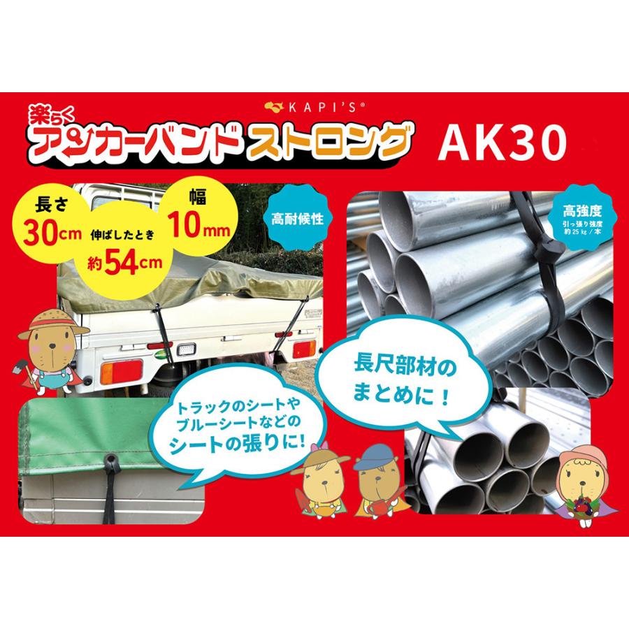 アンカーバンド 固定 フック 荷物 荷じめベルト トラックゴム 軽トラ 
