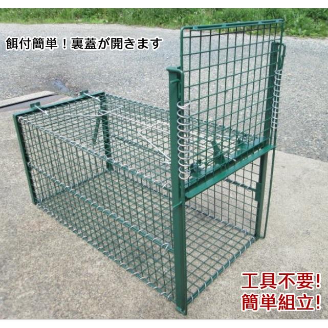 小動物捕獲器 イージーキャッチャー 捕獲器 捕獣器 害獣駆除 害 小動物捕獲器 イージーキャッチャー 捕獲器 捕獣器 害獣駆除 害