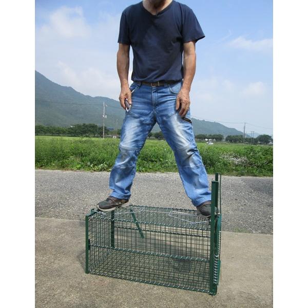 小動物捕獲器 イージーキャッチャー 捕獲器 捕獣器 害獣駆除 害 小動物捕獲器 イージーキャッチャー 捕獲器 捕獣器 害獣駆除 害