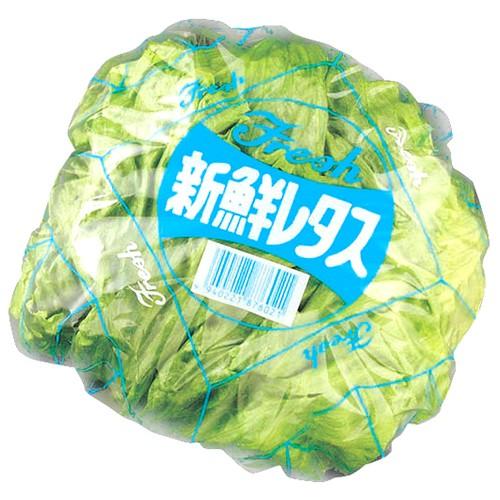 レタス 梱包袋 シート 野菜 梱包フィルム 200枚セット EP33 : S.S net
