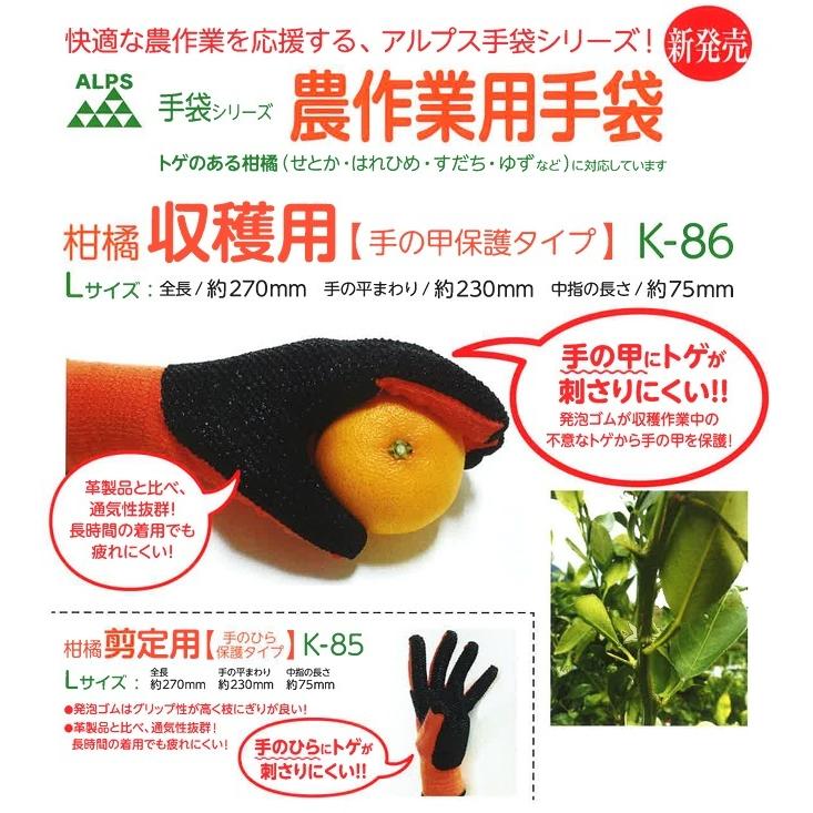 一色本店 柑橘 剪定用手袋 K85Lサイズ 園芸手袋 農業用手袋 剪定手袋