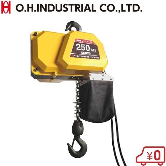 OH 電動ホイスト トロリー 100V 250kg 電動チェーンホイスト DCH OH 電動ホイスト トロリー 100V 250kg 電動チェーンホイスト DCH