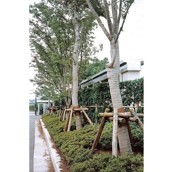 緑化樹用 テープ 幹巻き 根巻き 57cmX20m 庭 植樹 麻 ジュート ...