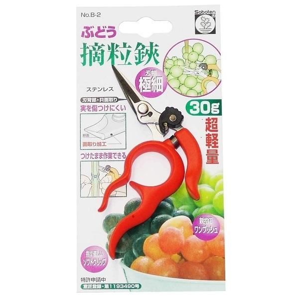 ぶどう鋏 摘粒鋏 ハサミ ぶどう用 日本製 摘果鋏 収穫鋏 果樹園 菜園