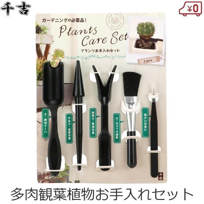 多肉植物 観葉植物 プランツ お手入れセット 5点セット サボテン 室内