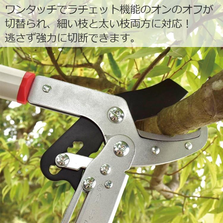 千吉 太枝切り鋏 太枝切鋏 ラチェット切替式 ふと枝切り鋏 SGFL-9 刈込