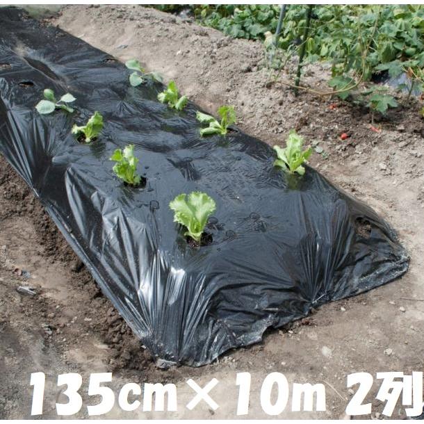 マルソル 黒マルチ 穴あきマルチ かんたんマルチ 135cm×10m 2列 マルソル 黒マルチ 穴あきマルチ かんたんマルチ 135cm×10m 2列