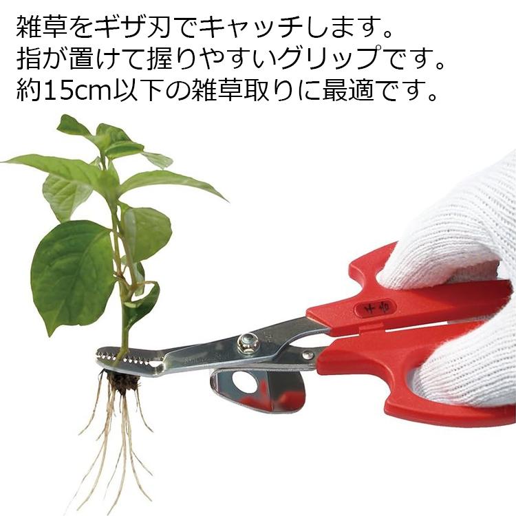 千吉 根こそぎ草取り テコ付 SGJ-11 雑草取り 雑草抜き 草抜き 除草 草