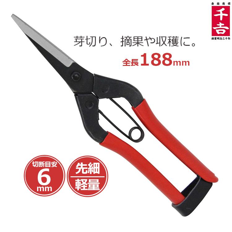 12+ Keluaran Sgp45 Dan 49