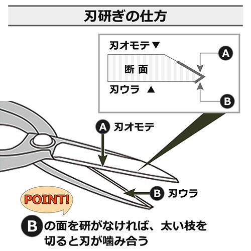 千吉金 葉刈鋏 日本製 ガード無し 270mm 剪定ばさみ 鍛造プロ 千吉金 葉刈鋏 日本製 ガード無し 270mm 剪定ばさみ 鍛造プロ